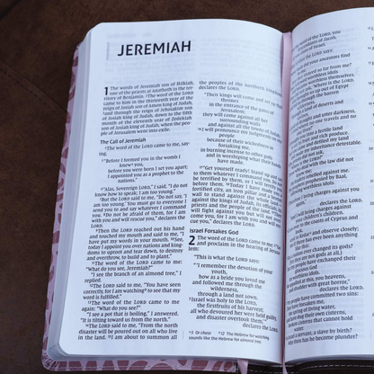 NIV Thinline Bible, Large Print, Pink Leathersoft