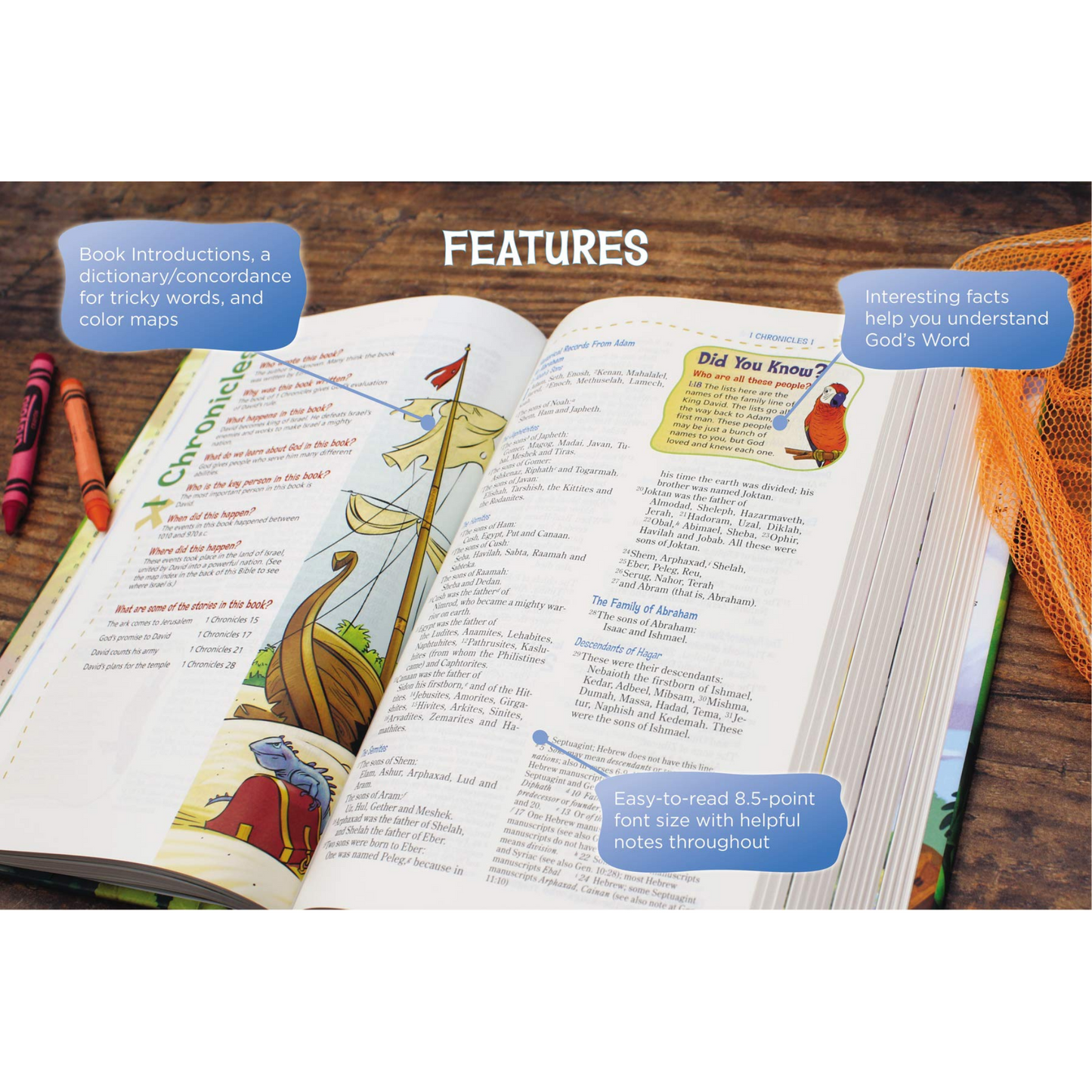 NIV, Adventure Bible, Full Color, Magnetic Closure
