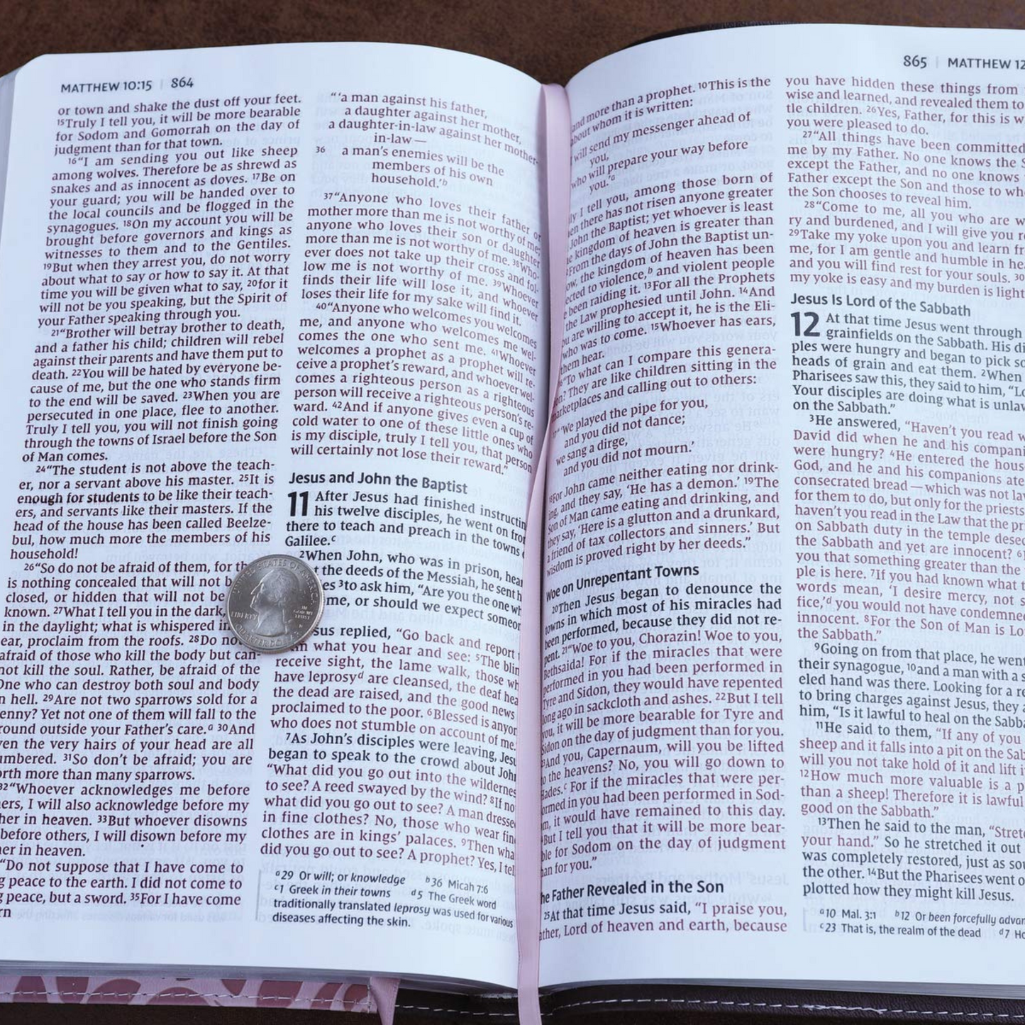 NIV Thinline Bible, Large Print, Pink Leathersoft