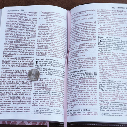 NIV Thinline Bible, Large Print, Pink Leathersoft