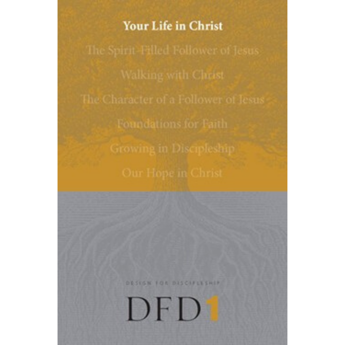 DFD 1 - Your Life In Christ