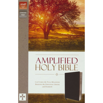 Amplified Holy Bible, Bonded Leather, Black