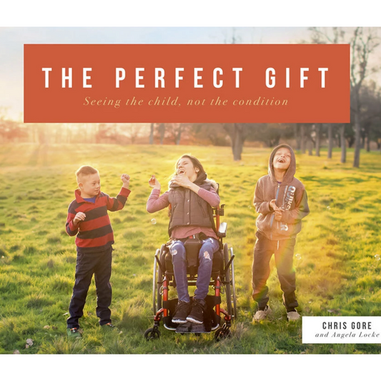 The Perfect Gift (Paperback)